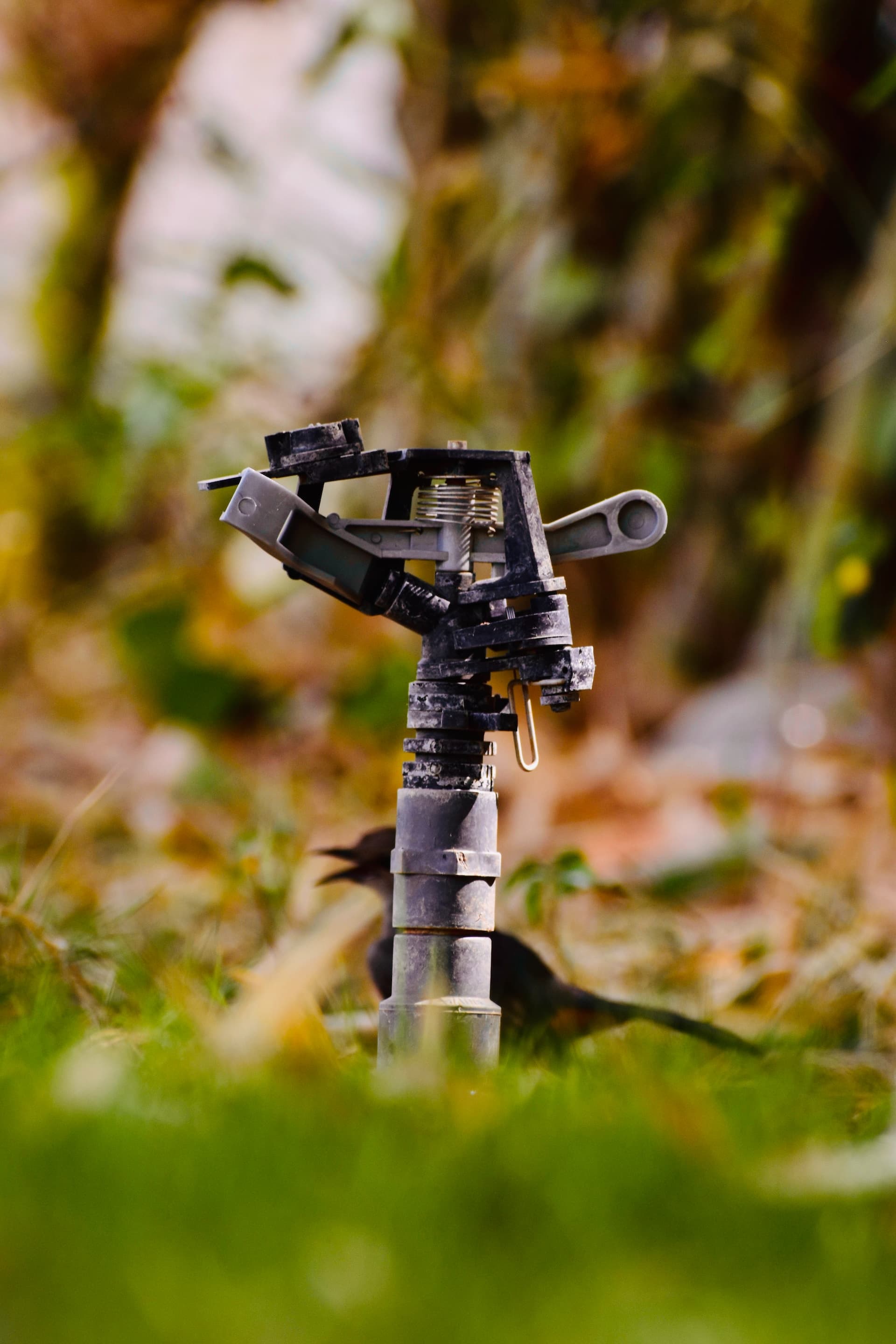 Solar panels on wheels